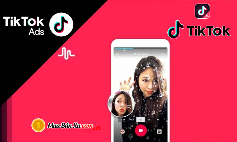 quảng cáo tiktok